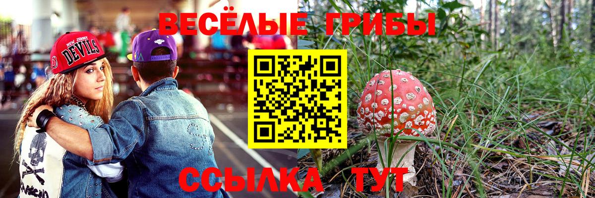 Галлюциногенные грибы Cubensis Златоуст