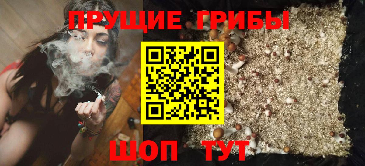 Галлюциногенные грибы ЛСД  продажа наркотиков  Златоуст  Вход с VPN 